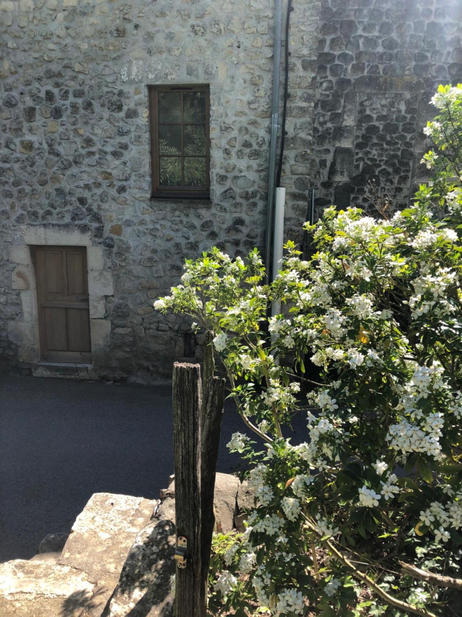 Gite Des Pins Saint-Maurice-d'Ibie Exterior photo